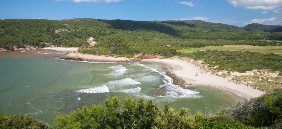 Playas De Algaiarens Spain image