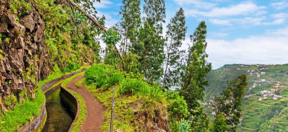 Hike up the Madeira mountains image