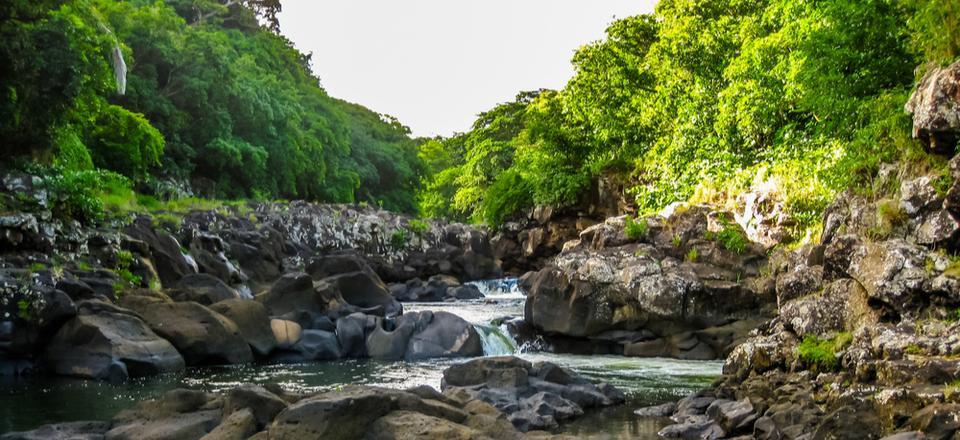 Black River Gorges National Park image